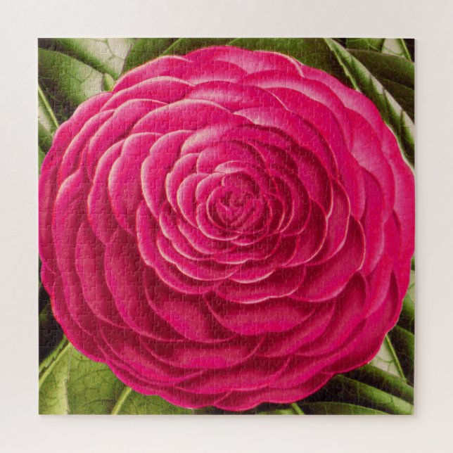 Large Camellia Blossom, Fuchsia Pink Jigsaw Puzzle (Vertical)