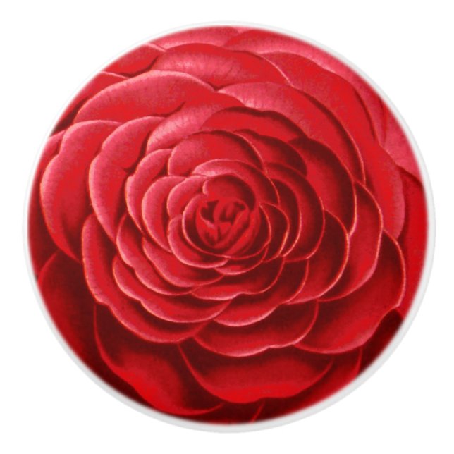 Large Camellia Blossom, Shades of Deep Red Ceramic Knob (Front)