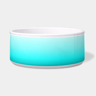 Large Cyan Pet Bowl