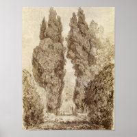 Large Cypress at the Villa d'Este
