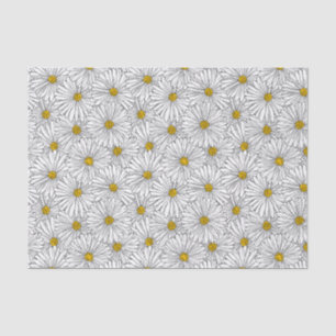 Large Daisy 10lb Tissue Paper, White Paper