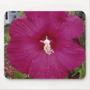 large dark red Hibiscus Mouse Pad