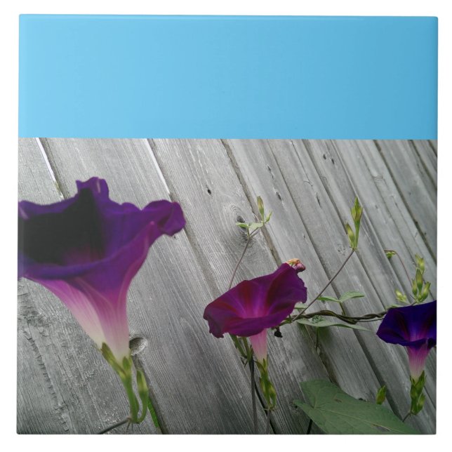 Large, Decorative Tile (Front)