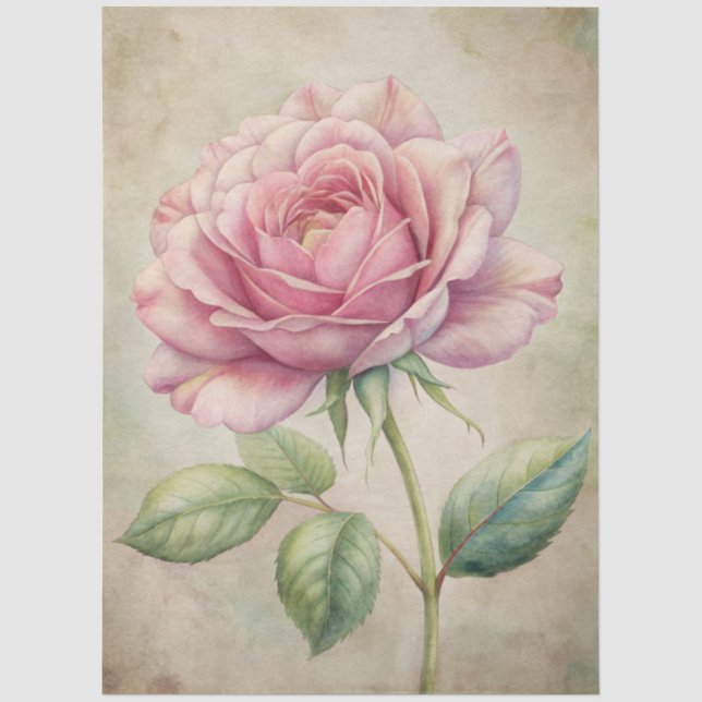 Large Distressed Pink Rose Ephemera Decoupage Tissue Paper (Front)