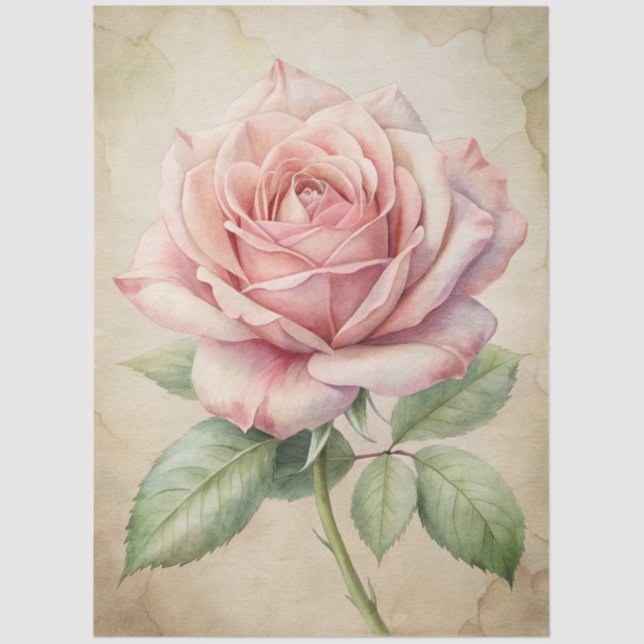 Large Distressed Pink Rose Ephemera Decoupage Tissue Paper (Front)