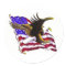 Large Eagle & Flag