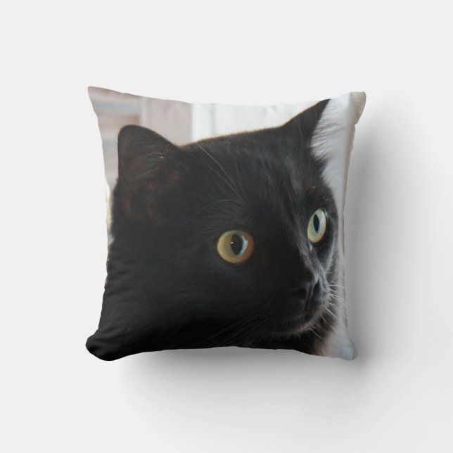 Large-eyed Black Cat Pillow, home or dorm Cushion (Front)