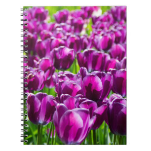 Large field of purple tulips notebook