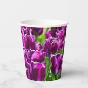 Large field of purple tulips   paper cups