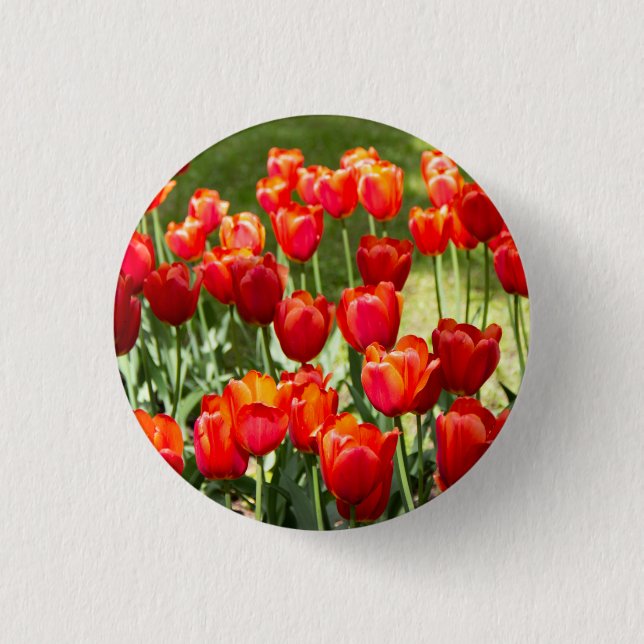 Large field of red tulips   3 cm round badge (Front)