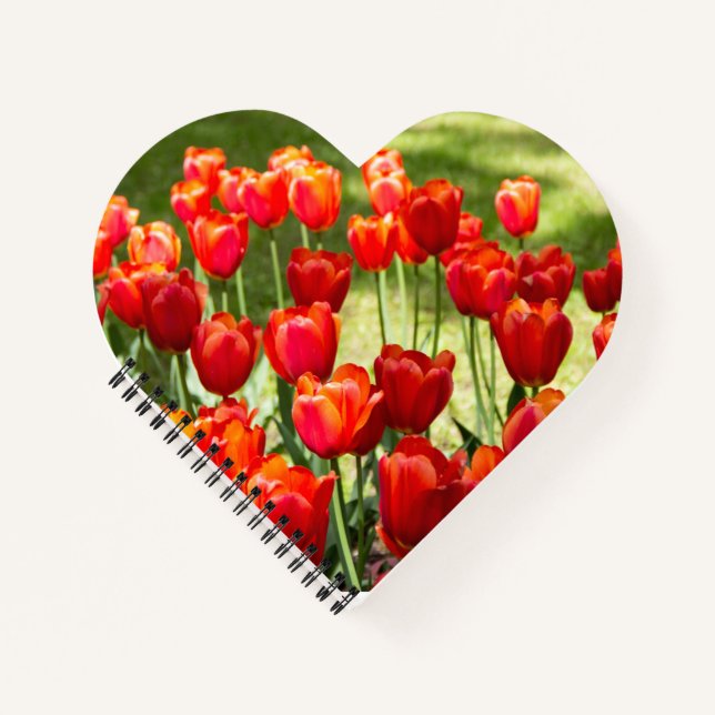 Large field of red tulips   notebook (Front)