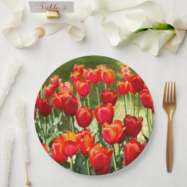Large field of red tulips    paper plate (Wedding)