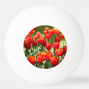 Large field of red tulips ping pong ball