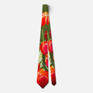 Large field of red tulips   tie