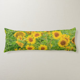 Large field of sunflowers near Moses Lake, WA 2 Body Cushion