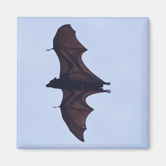 Large Flying  Bat Magnet (Front)