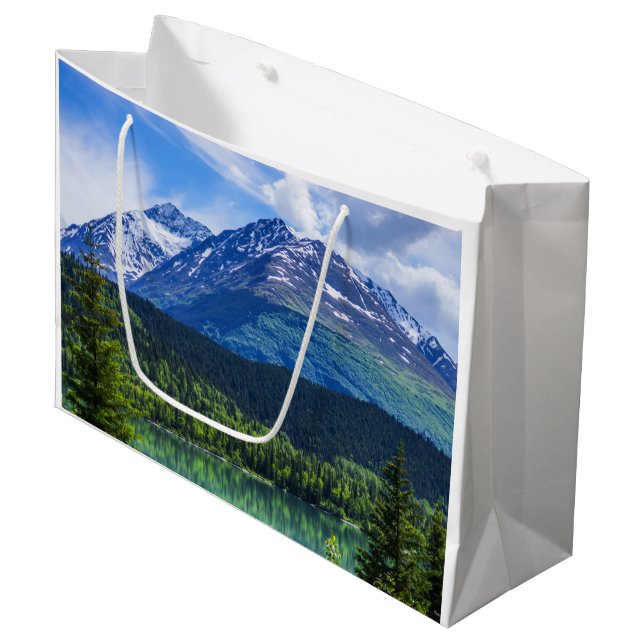 Large Gift Bag (Front Angled)