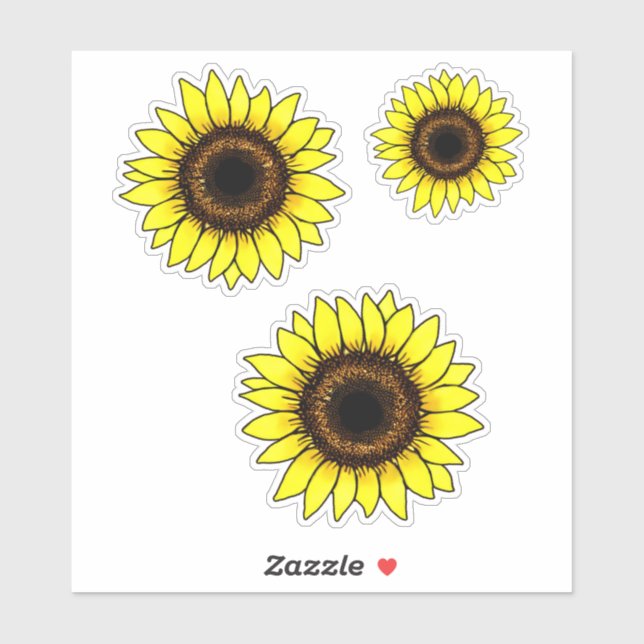 Large Golden Yellow Sunflowers  (Sheet)