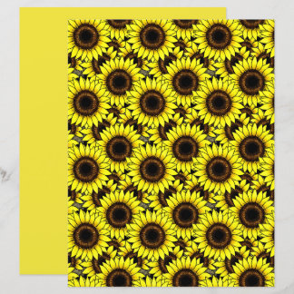 Large Golden Yellow Sunflowers