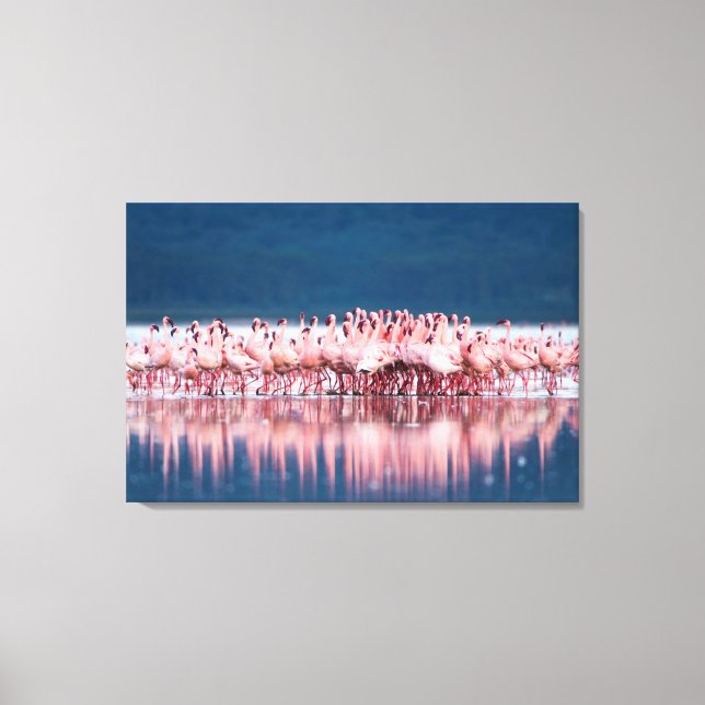 Large Group Of Lesser Flamingos Canvas Print (Front)
