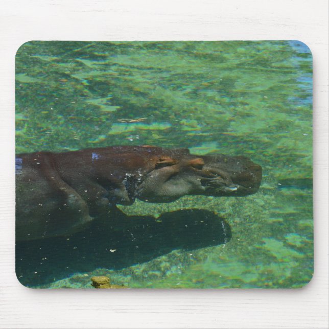 Large Hippo Swimming Under Water, Mouse Pad (Front)