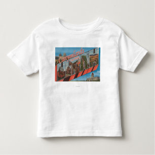 Large Letter Scenes - Canyonlands Nat'l Park, UT Toddler T-Shirt