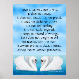 Large Love Swans 1 Corinthians 13 Print