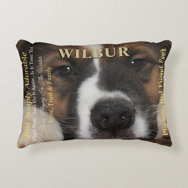 Large Magazine Styled Pet Decorative Cushion (Front)
