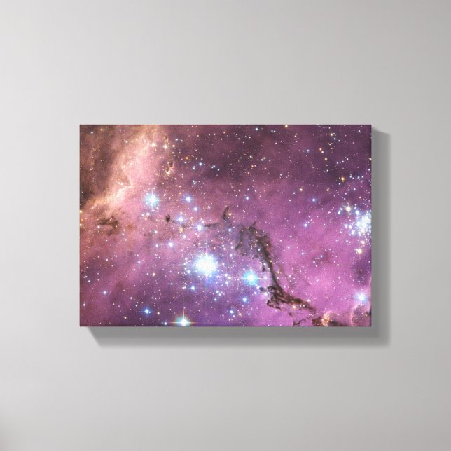 Large Magellanic Cloud Canvas Print (Front)