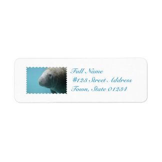 Large Manatee Underwater