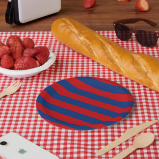 Large Modern Vibrant Horizontal Stripes Decor Paper Plate