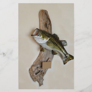 large mouth bass flyer