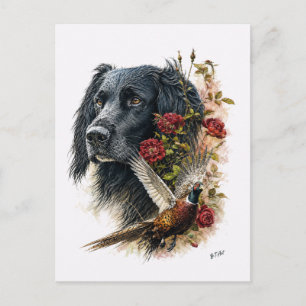 Large Munsterlander with pheasant Postcard
