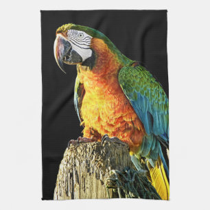 Large Orange and Teal Parrot on a Stump Tea Towel