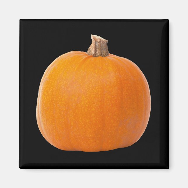 Large Orange Fall Harvest Pumpkin Magnet (Front)