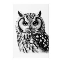 Large Owl Portrait 24x36" Acrylic Wall Art
