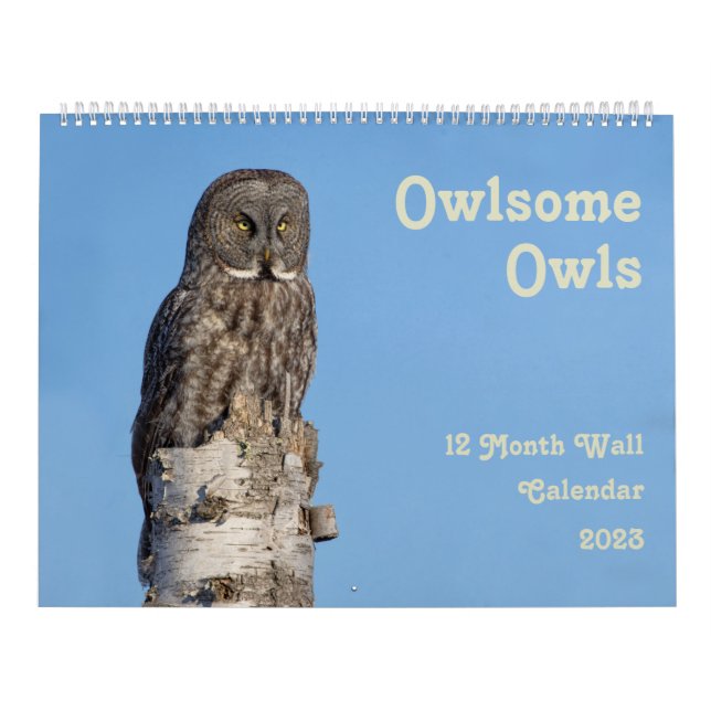 Large Owl Wall Calendar (Cover)