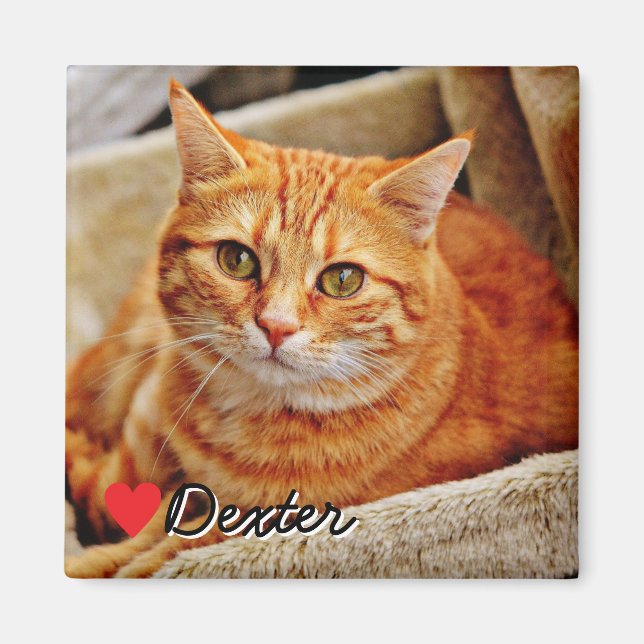 Large Personalized Pet Photo Magnet (Front)