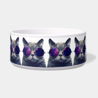 Large Pet Bowl