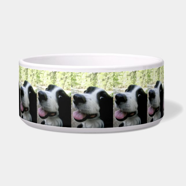 Large Pet Food Bowl with Border Collie (Front)