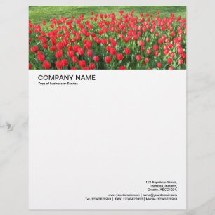 Large Picture Header - Bed of Red Tulips 01 Letterhead Template