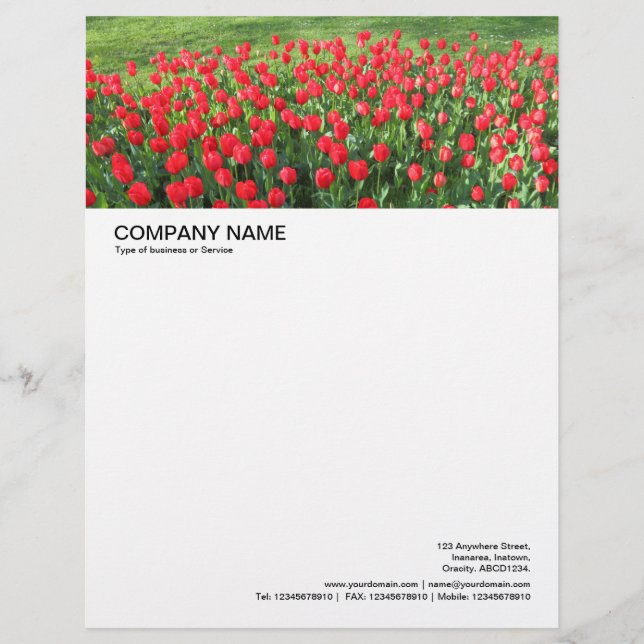 Large Picture Header - Bed of Red Tulips 01 Letterhead Template (Front)