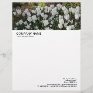 Large Picture Header - Bed of White Tulips Custom Letterhead