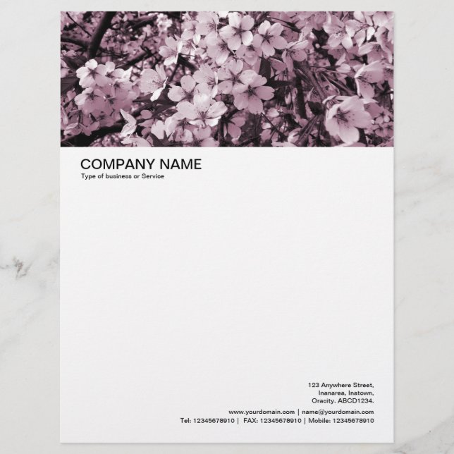 Large Picture Header - Cherry Blossom Letterhead (Front)