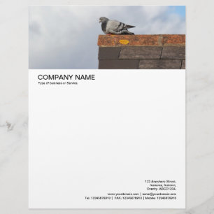 Large Picture Header - Good Morning Pigeon Custom Letterhead