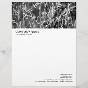 Large Picture Header - Grass Abstract 02 Customised Letterhead