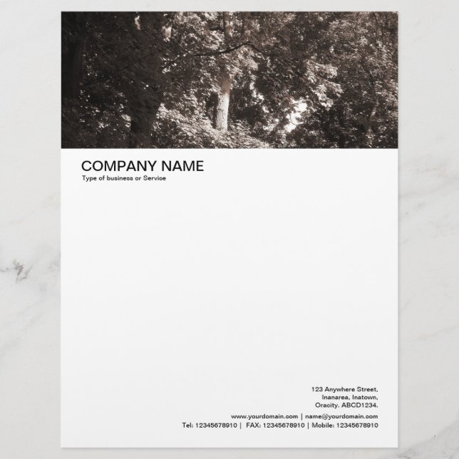 Large Picture Header - In the Trees Custom Letterhead (Front)