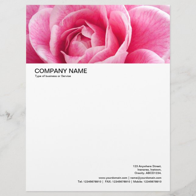 Large Picture Header - Pink Camelia Letterhead Template (Front)