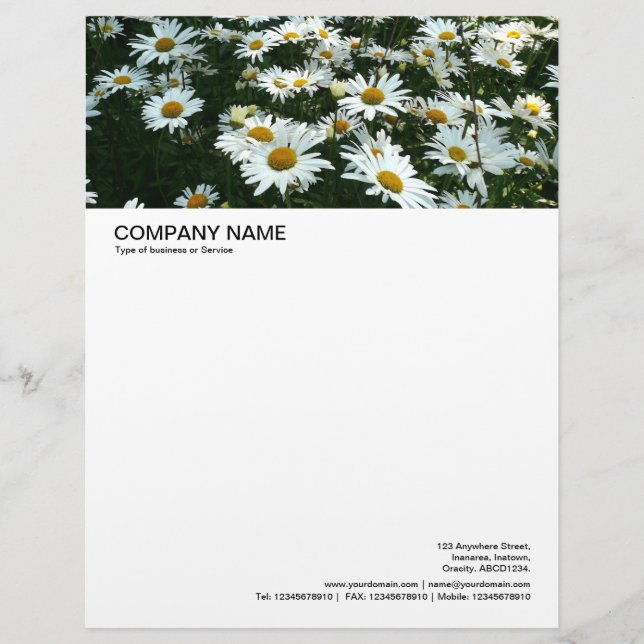 Large Picture Header - Shasta Daisies Letterhead (Front)