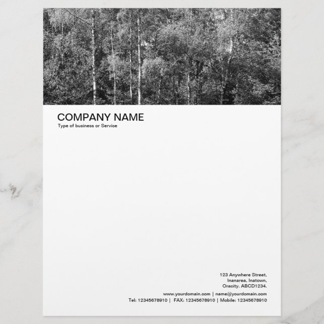 Large Picture Header - Silver Birch Letterhead Template (Front)
